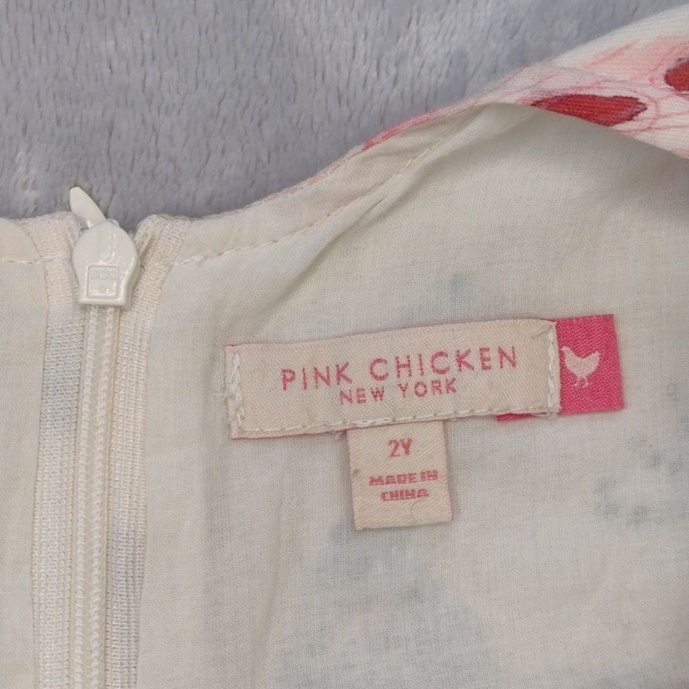 Pink Chicken New York Coralee Long Sleeve  Moth Print Dress Size 2 - Picture 6 of 9